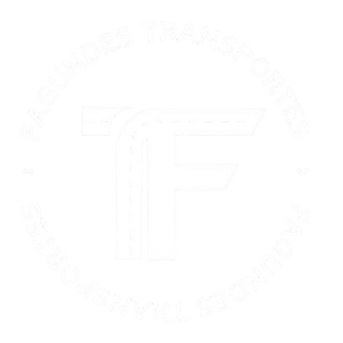 Fagundes Transportes - Mudanças em Portugal